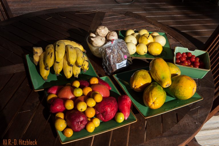 20.08.2013 – erster Tag in Hilo