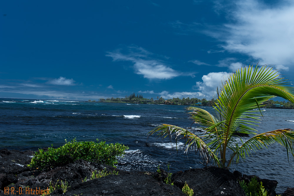 Champagne Ponds _D708422.jpg