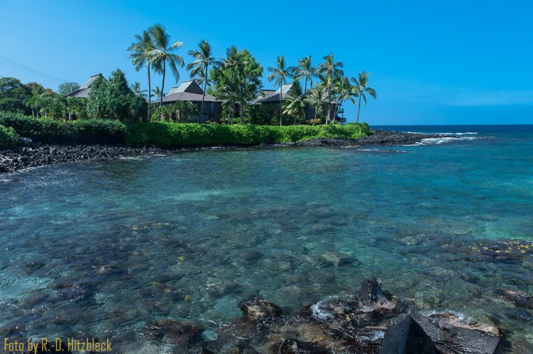 29.08.2013 – Swimming with turtles, Kona, nördliche Westküste