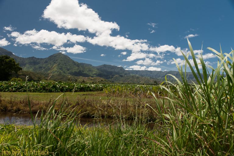 09.09.2013 – Nordküste, Lumaha’i Beach, Ke’e Beach