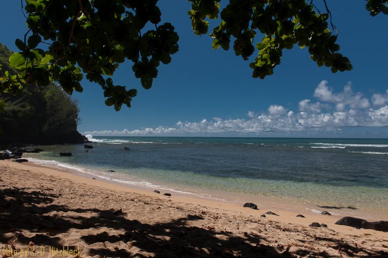 11.09.2013 – Hang Loose in Princeville, Sealodge Beach