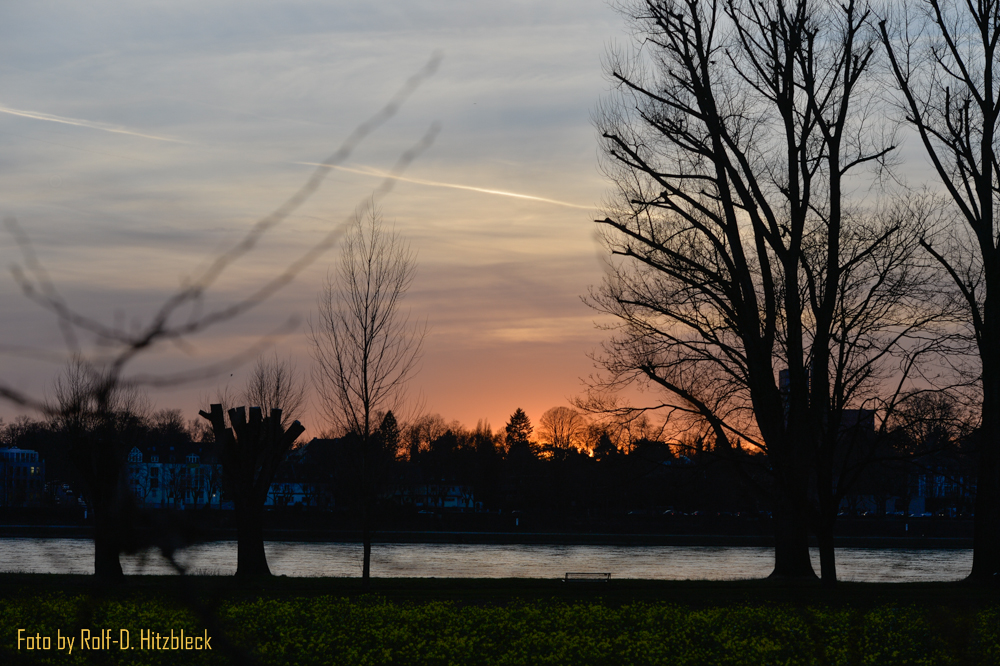 DSC3695.jpg
