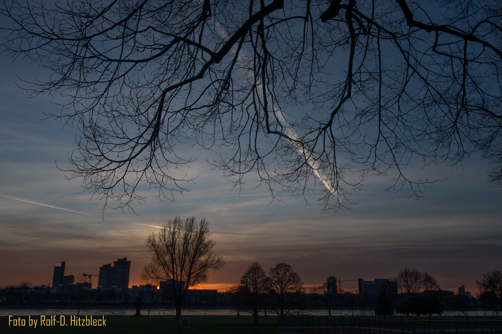 DSC3697.jpg