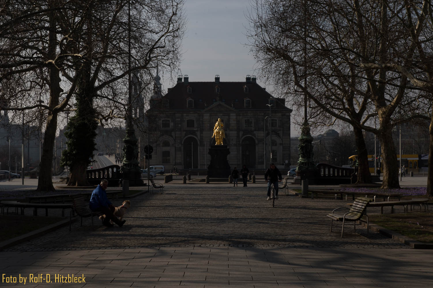 DSC3724.jpg