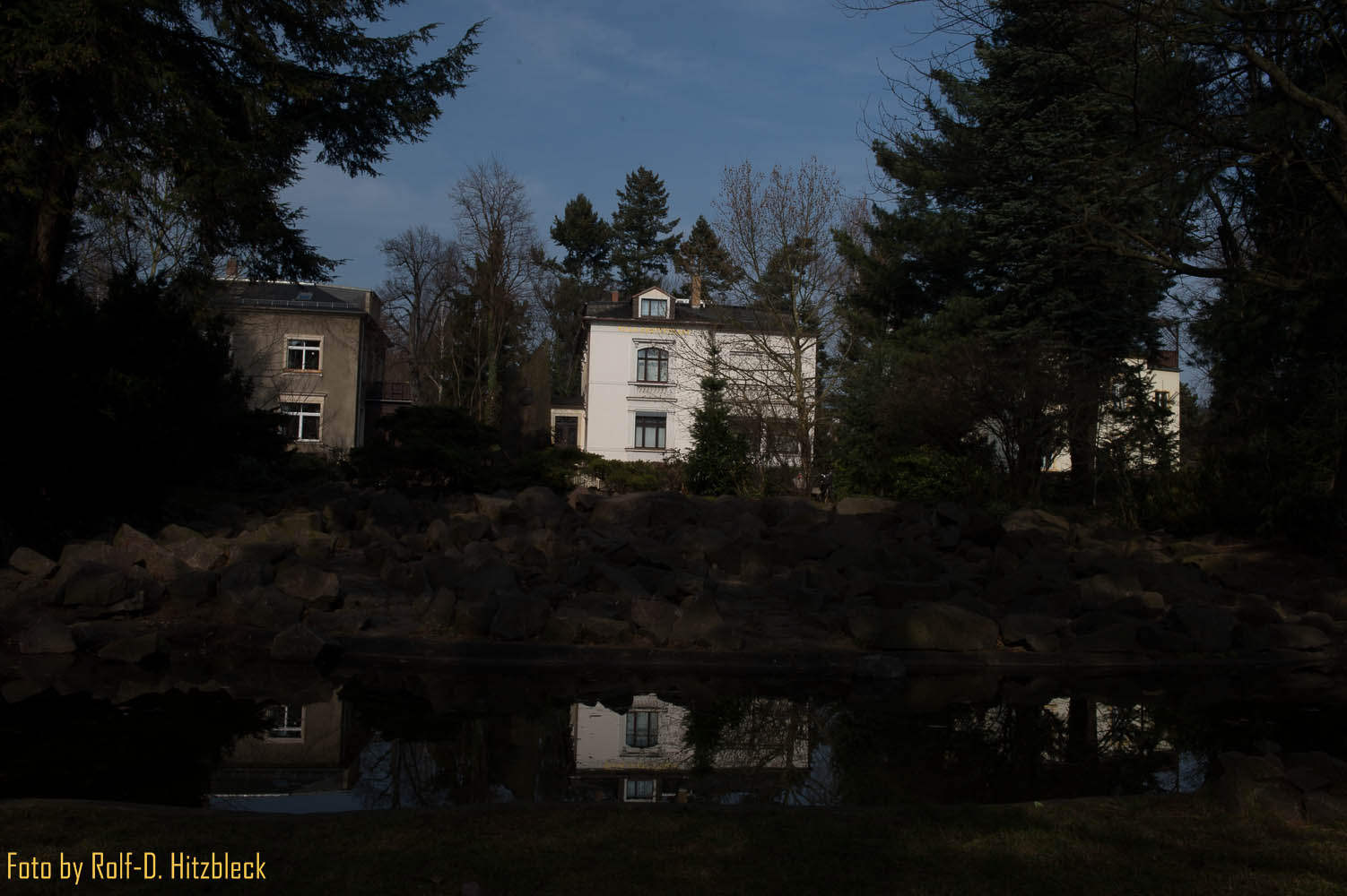 DSC4064.jpg