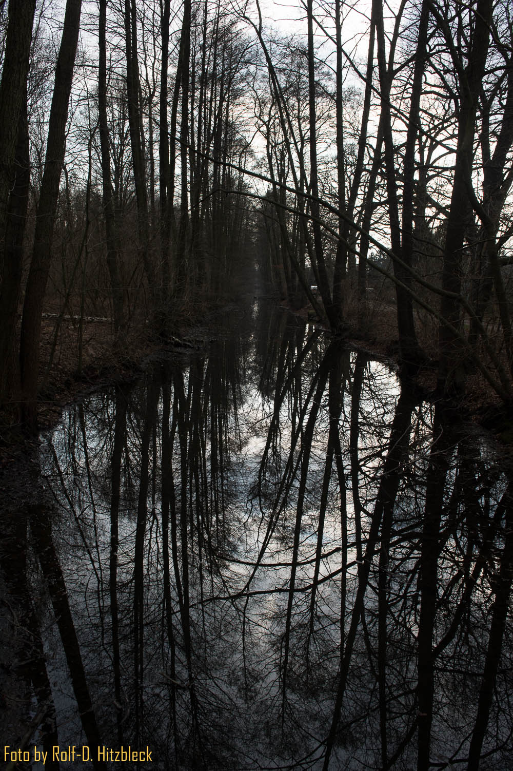 DSC4109.jpg