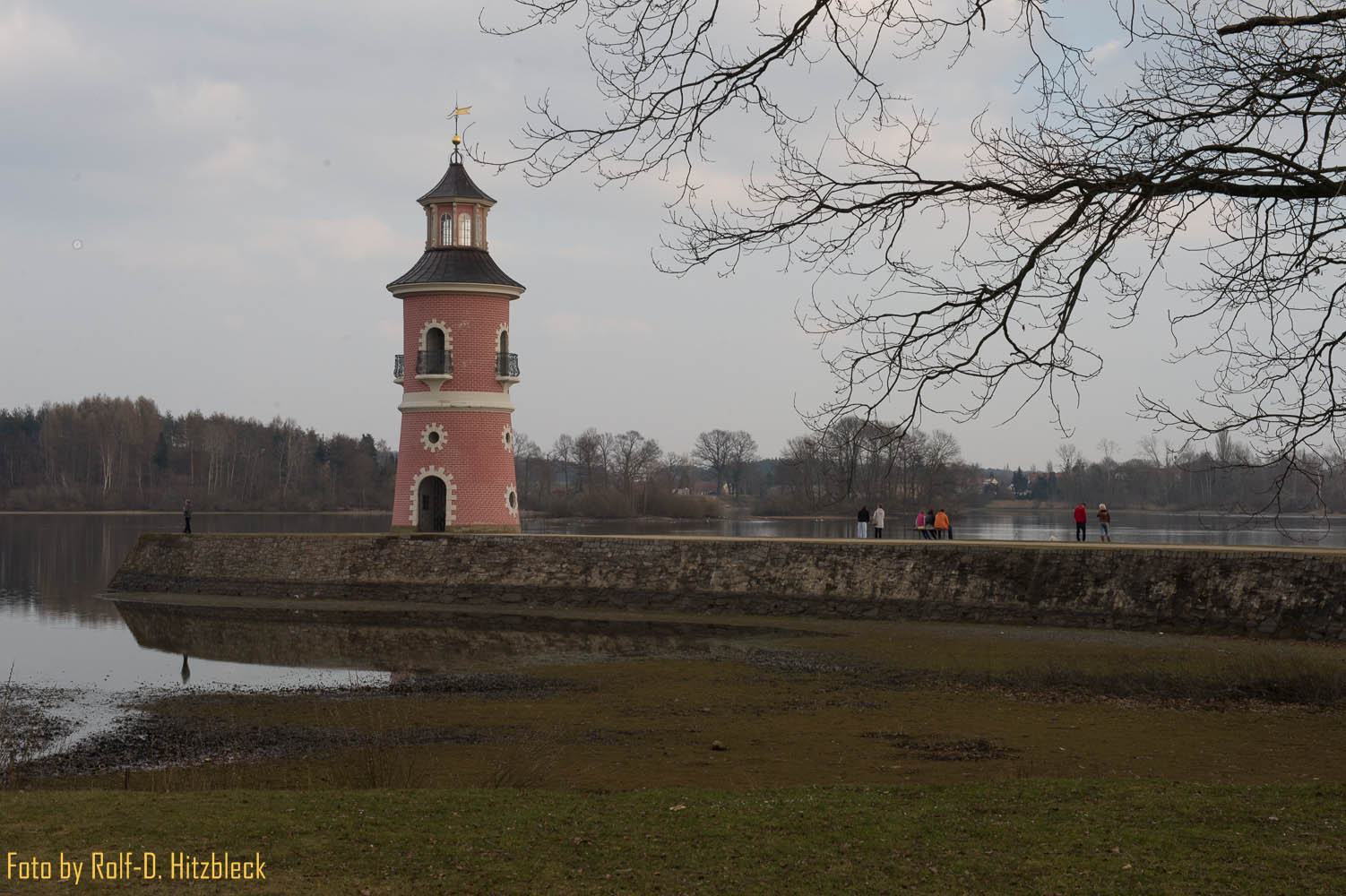 DSC411053141acd8fad6.jpg