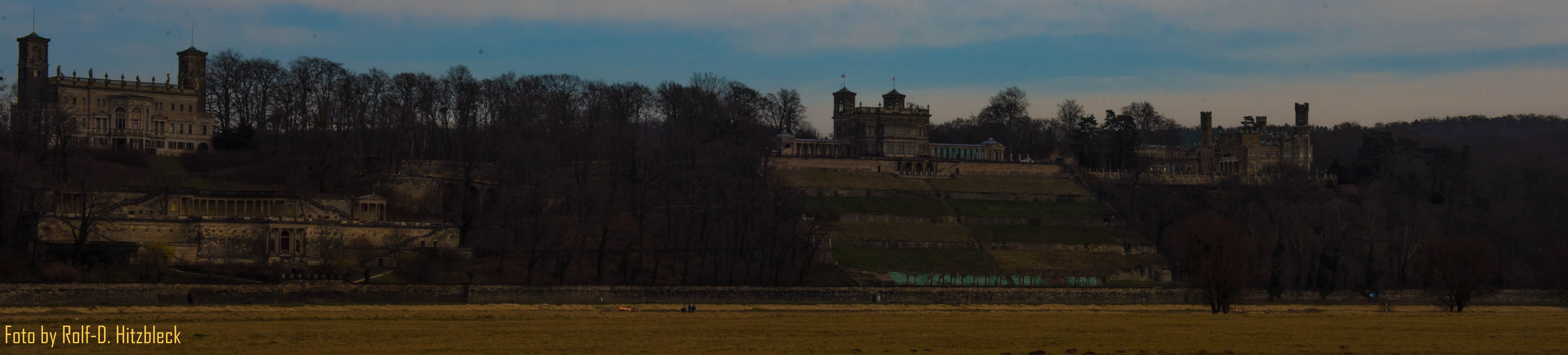 DSC4175.jpg