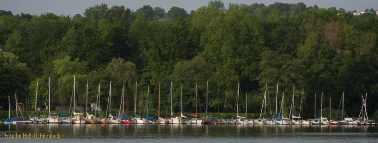 Reflektionen, Küken und andere Impressionen vom Baldeneysee