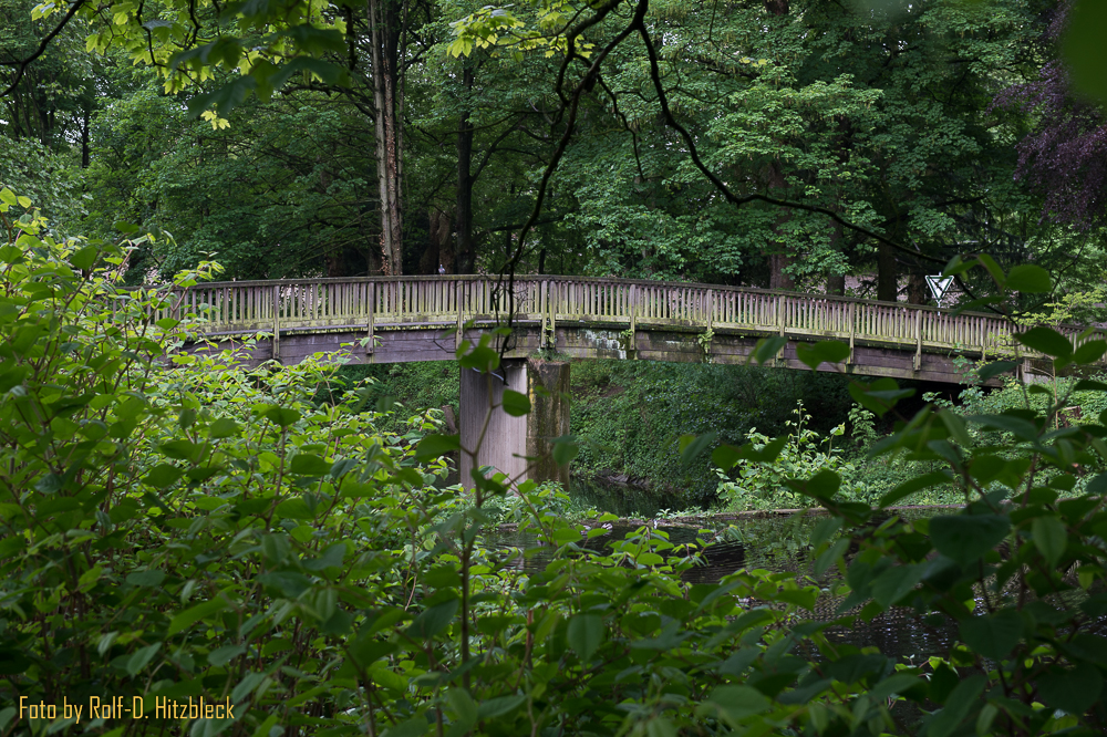 DSC1053.jpg