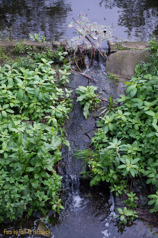DSC1055.jpg