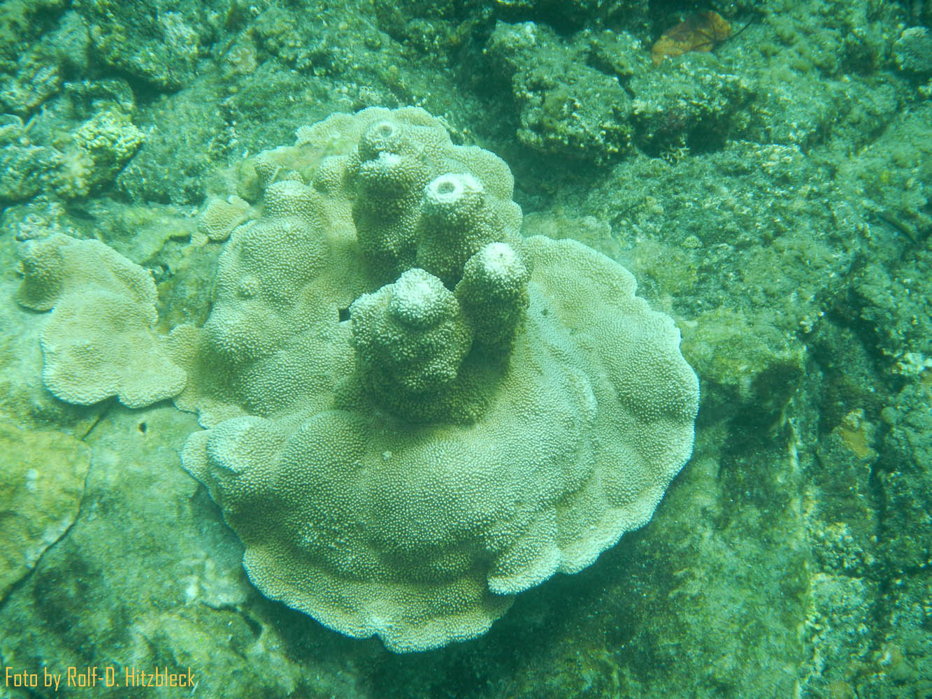 DSCN7519.jpg
