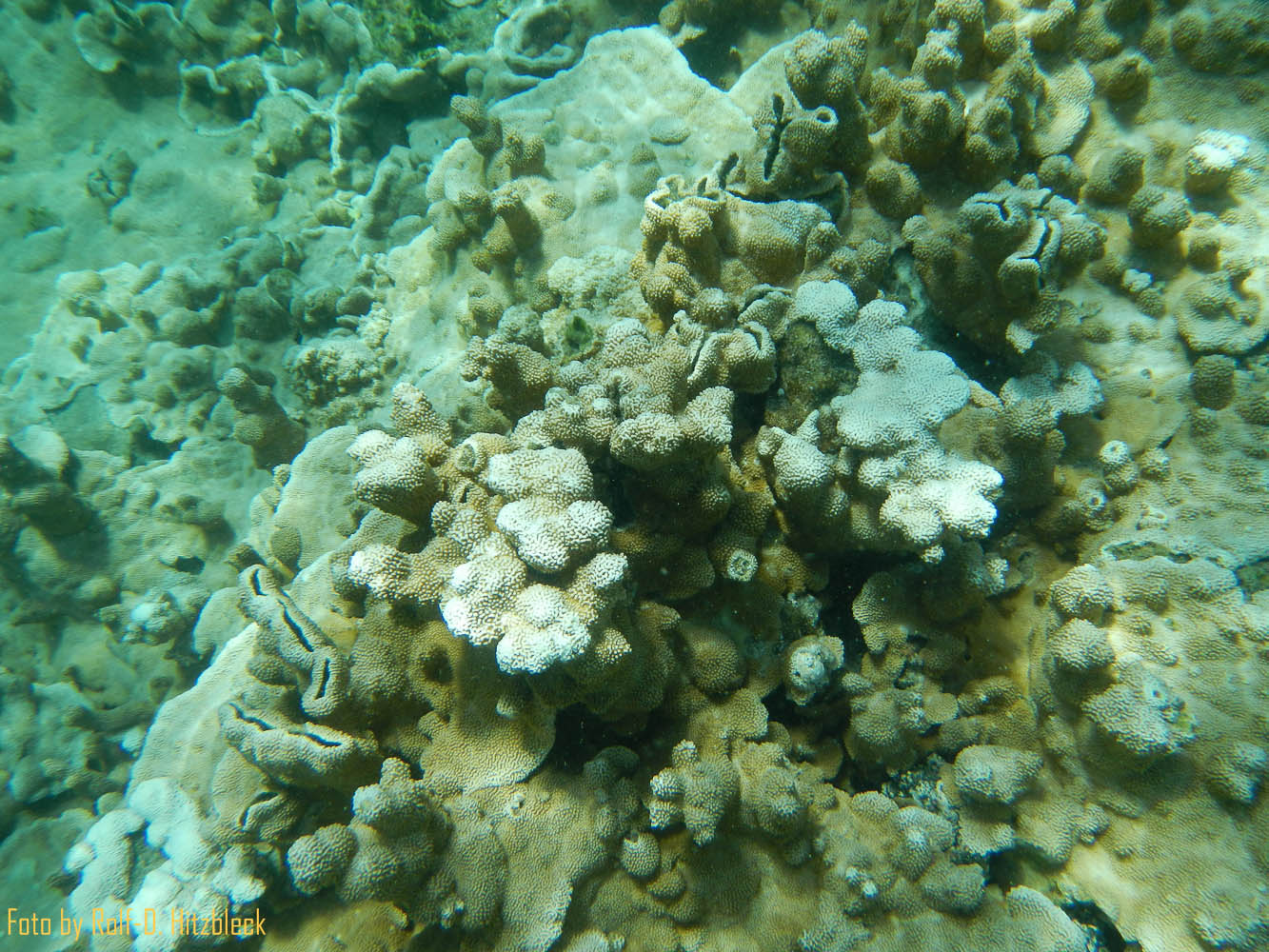 DSCN7547.jpg