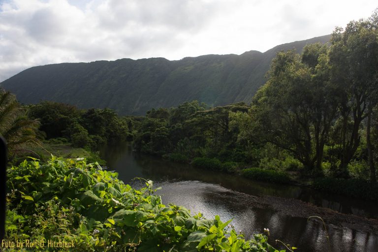 24.05.2014 – Erster Tag in Hilo – akklimatisieren
