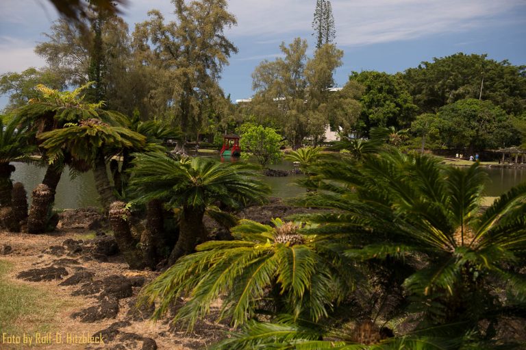 25.05.2014 – Zweiter Tag in Hilo – Relax