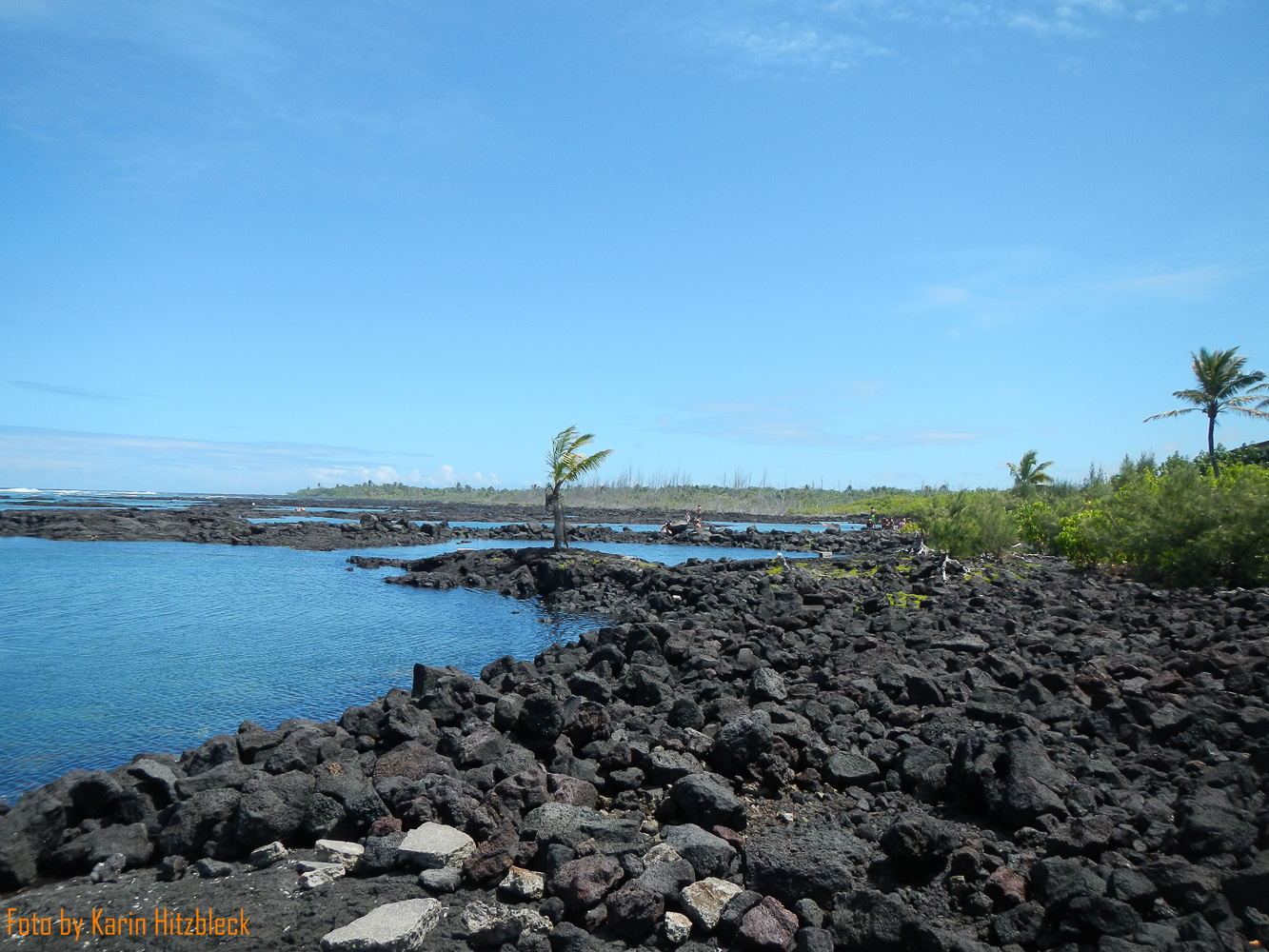 DSCN8730.jpg