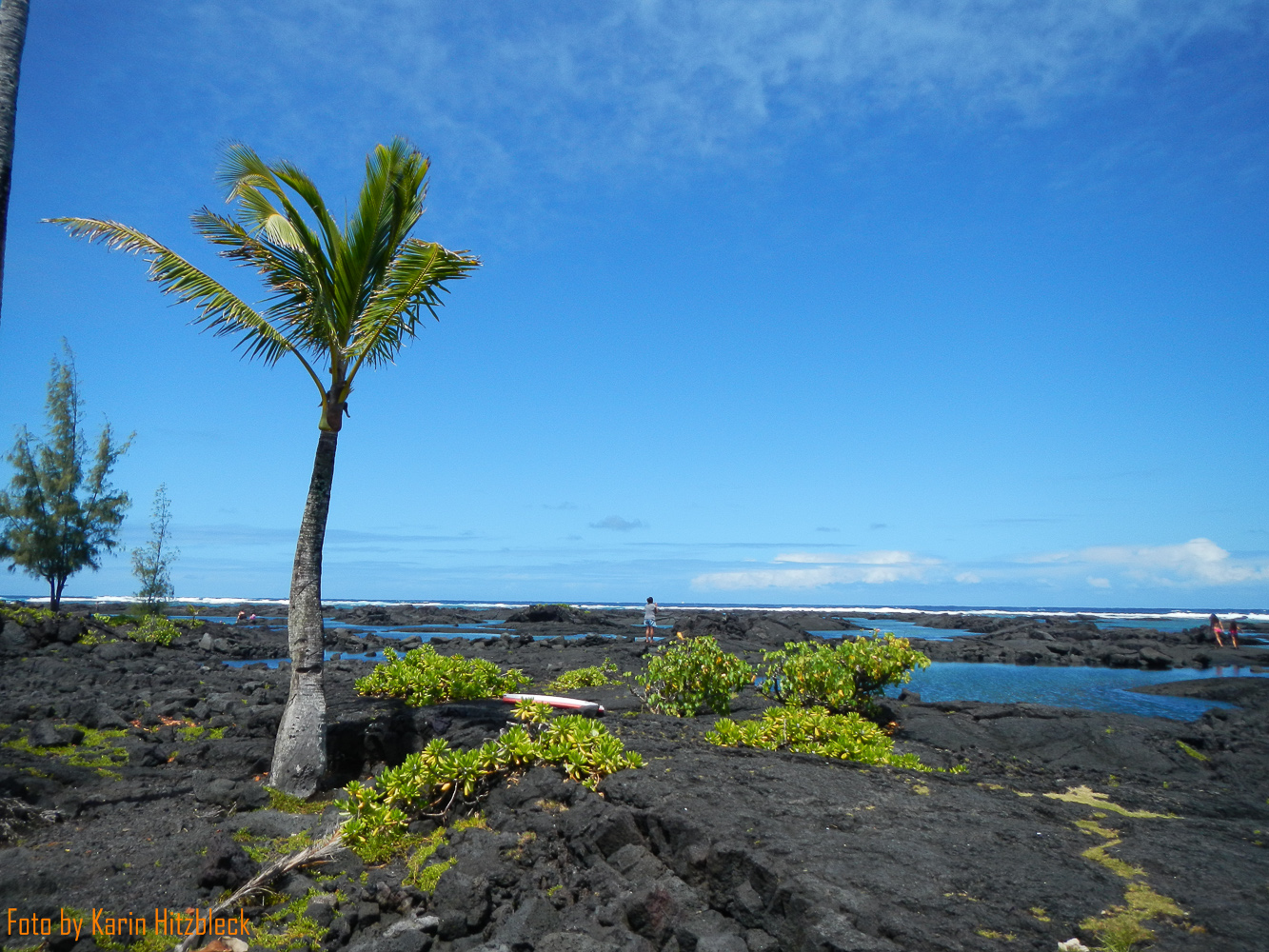 DSCN8732.jpg