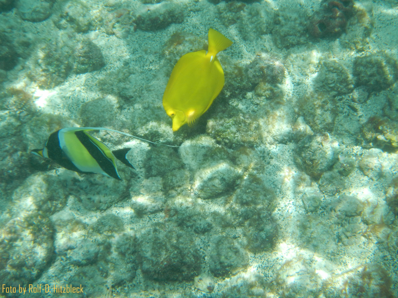 DSCN9046.jpg
