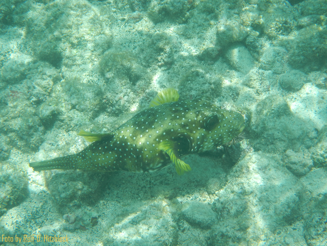 DSCN9110.jpg