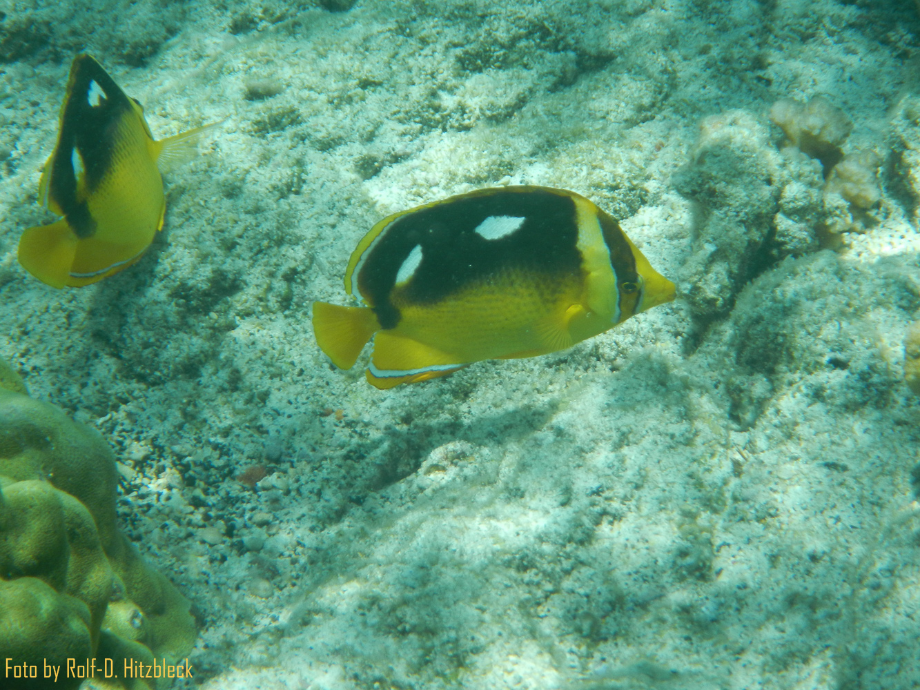 DSCN9185.jpg