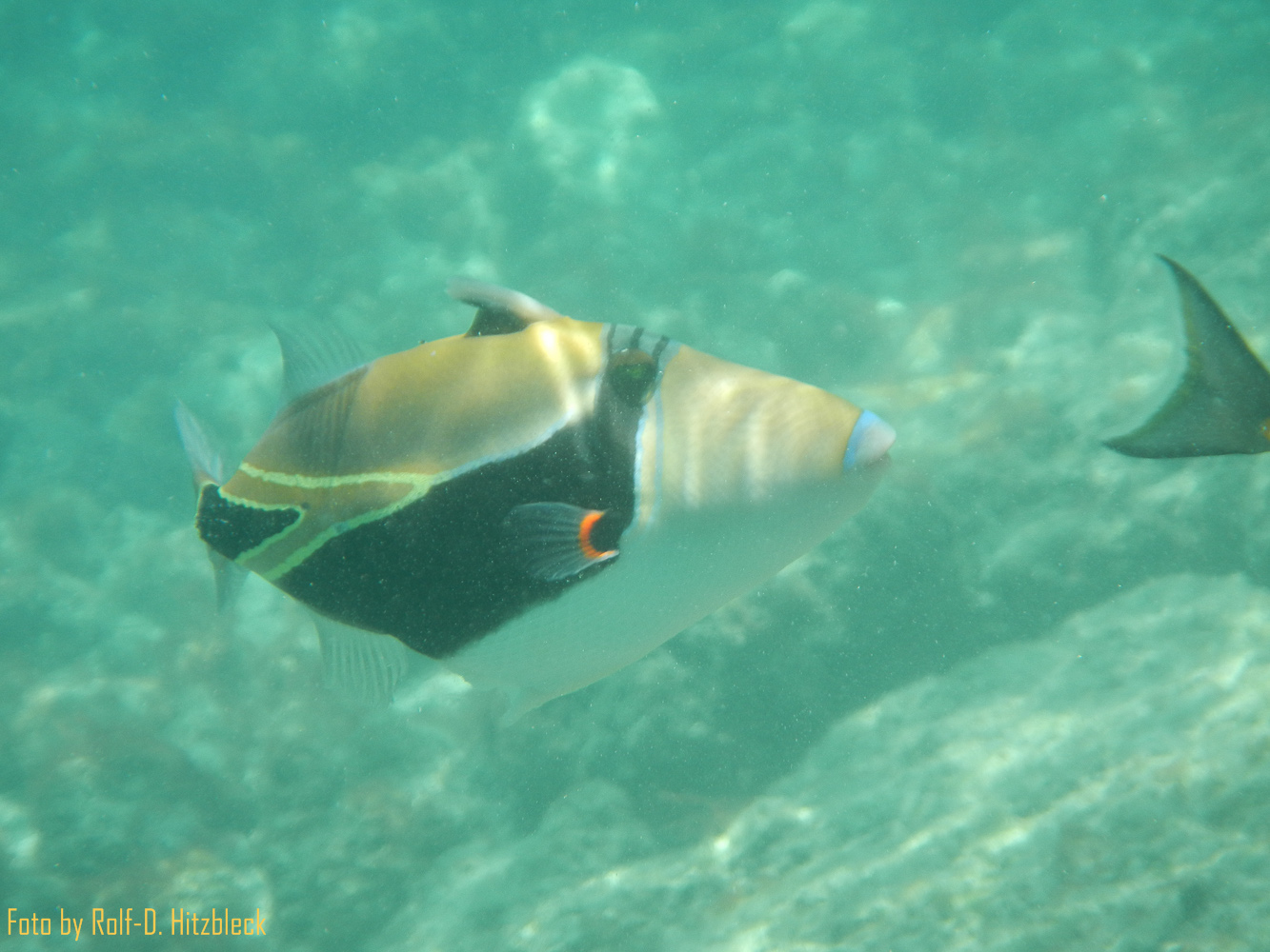 DSCN9211.jpg