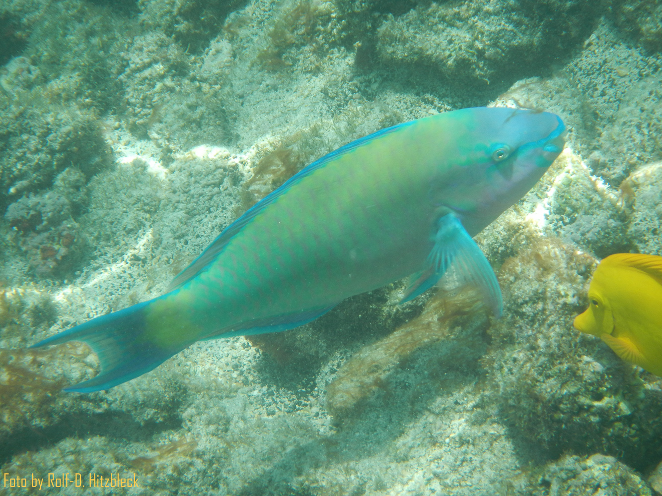 DSCN9221.jpg