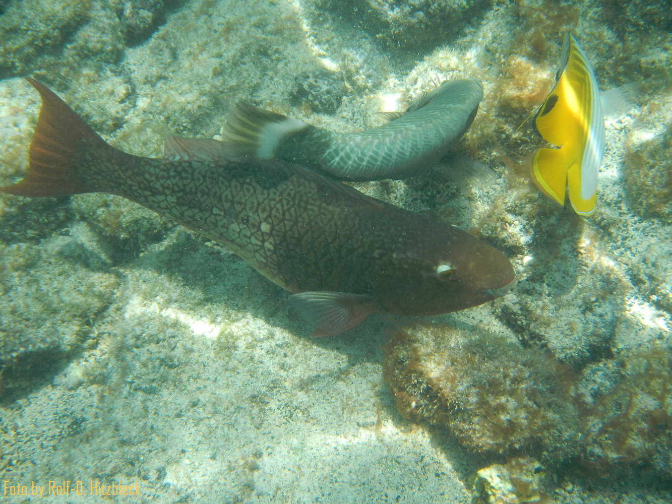 DSCN9222.jpg