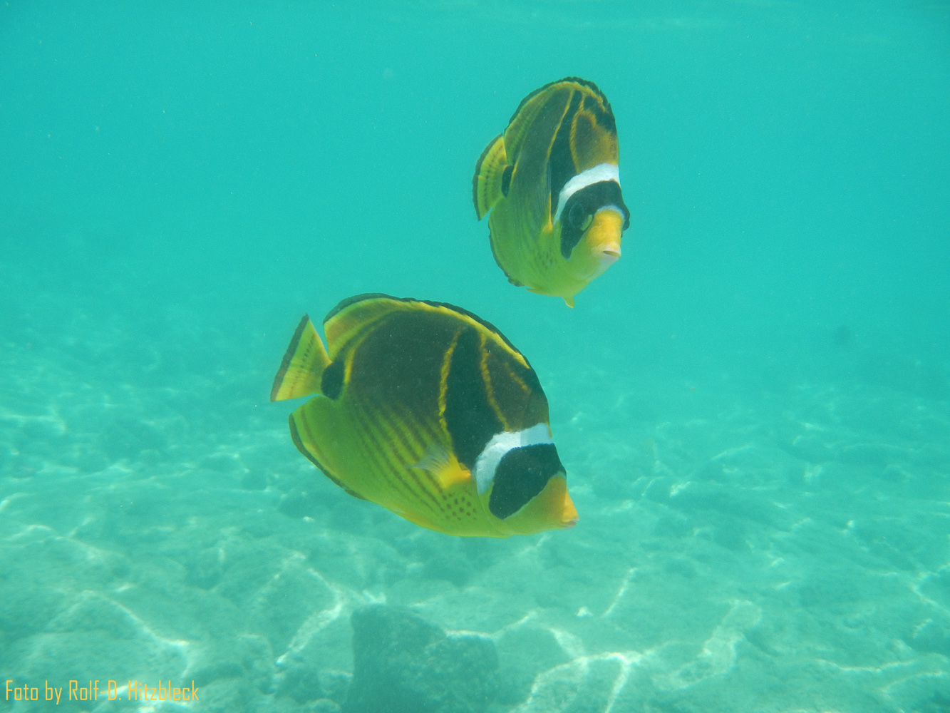 DSCN9263.jpg