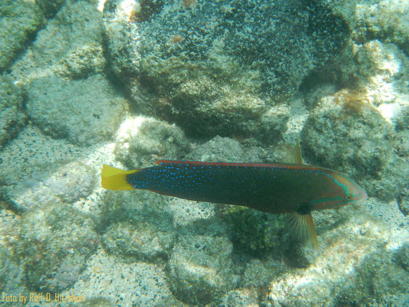 DSCN9266.jpg