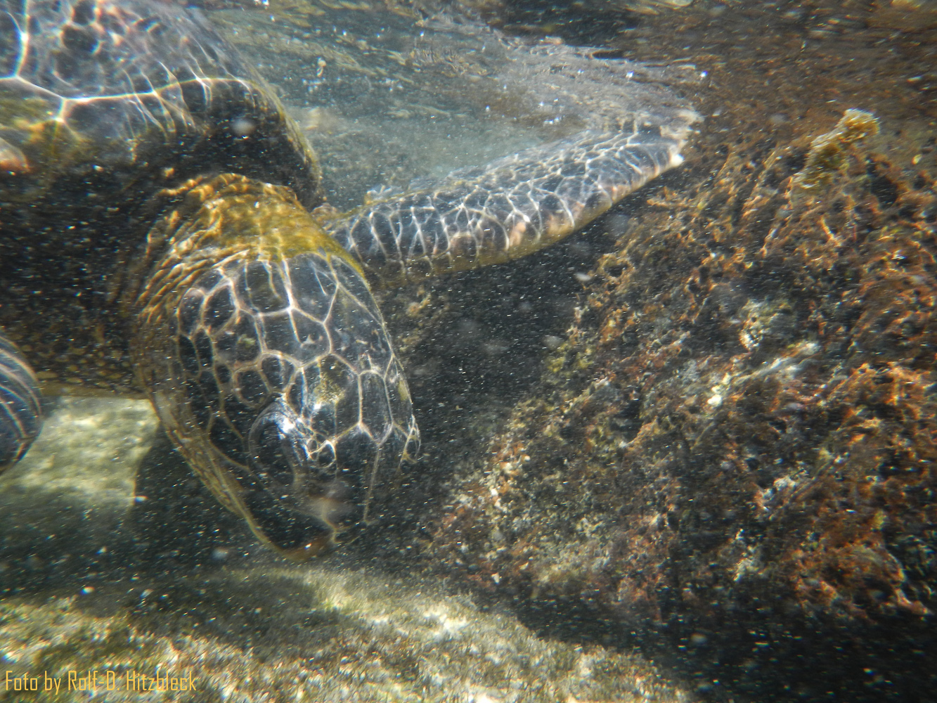 DSCN9541.jpg