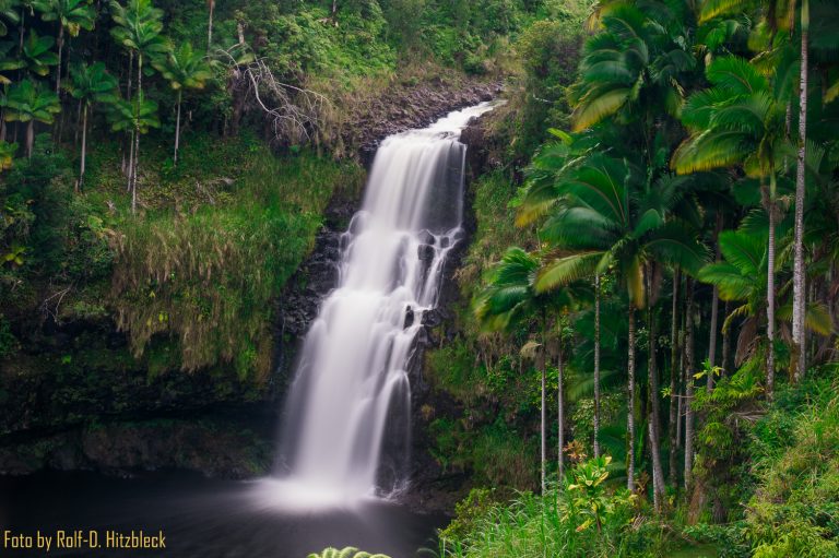 12.06.2014 – Relaxen – Hilo und Umgebung – Coconut Island