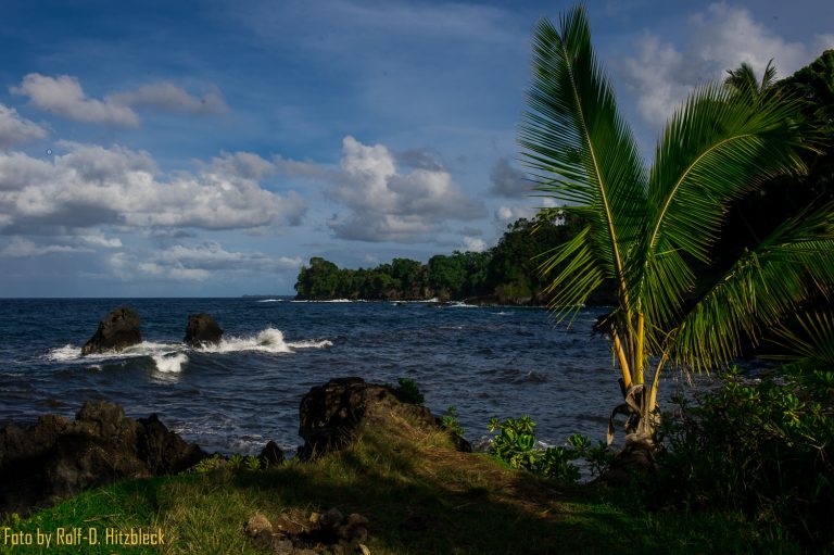 16.06.2014 – Hamakua Coast – viel Botanik