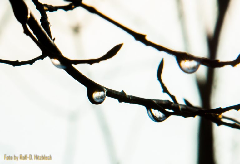 Weihnachtsspaziergang