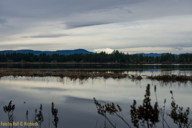 08.02.2015 – Schlaflos in Seattle