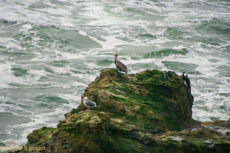 10.02.2015 – Von Lincoln City nach Yachats