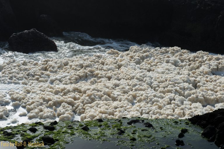 12.02.2015 – Von Lincoln City nach Florence