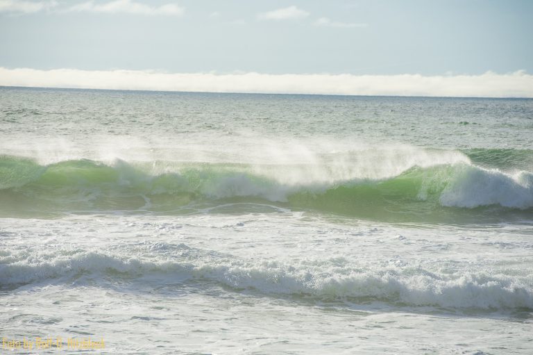 19.02.2015 – Achate sammeln – Cape Perpetua – Boiler Bay