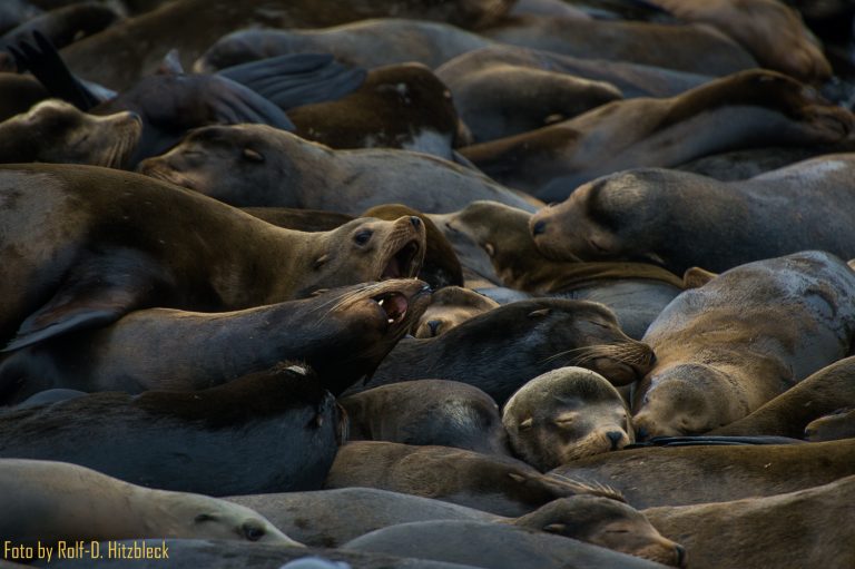 20.02.2015 – Lincoln City – Astoria – Seatac Airport