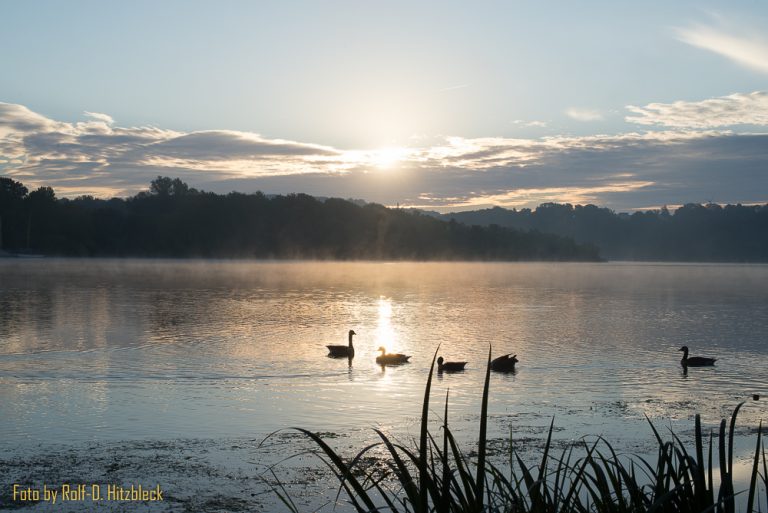 Sonnenaufgang am Baldeneysee
