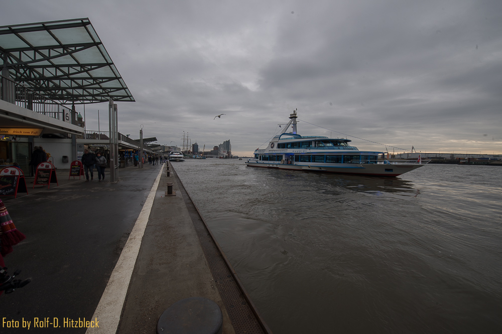 DSC7239.jpg