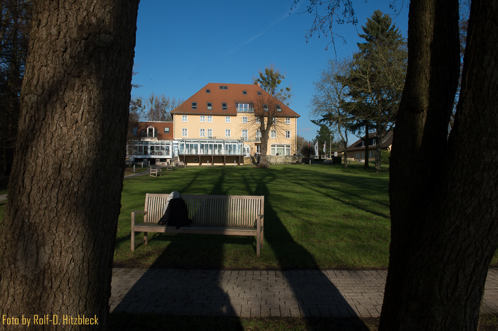 DSC7246.jpg