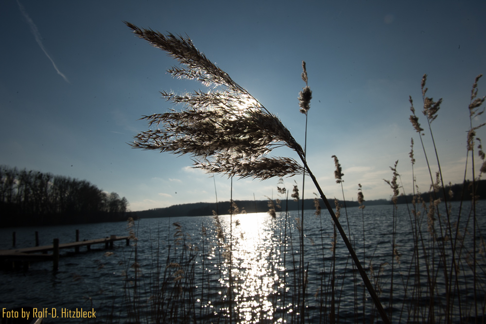 DSC7254.jpg