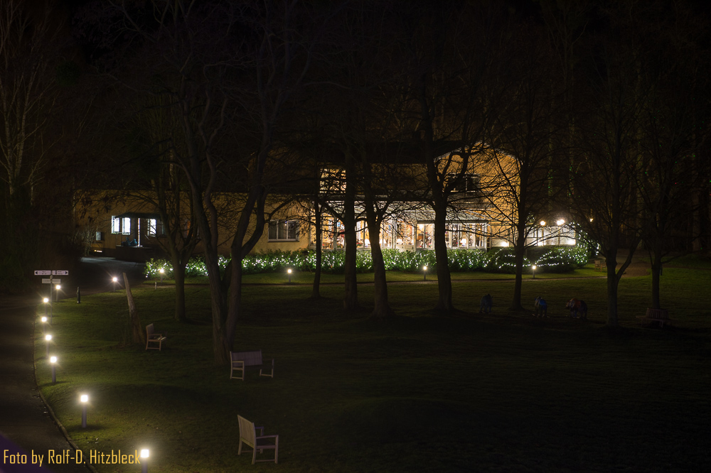 DSC7350.jpg