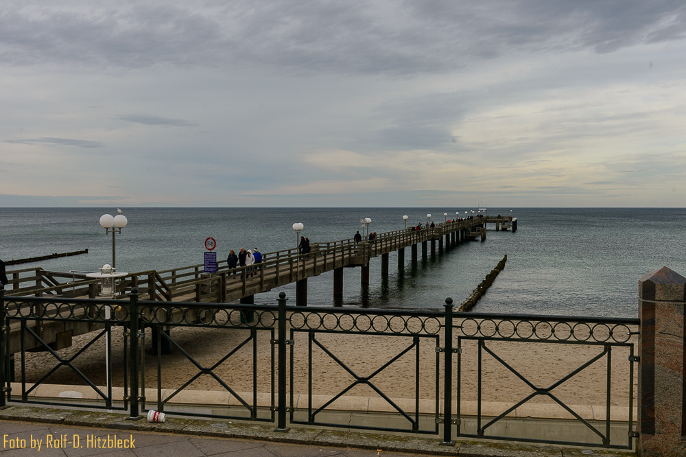 DSC7375.jpg