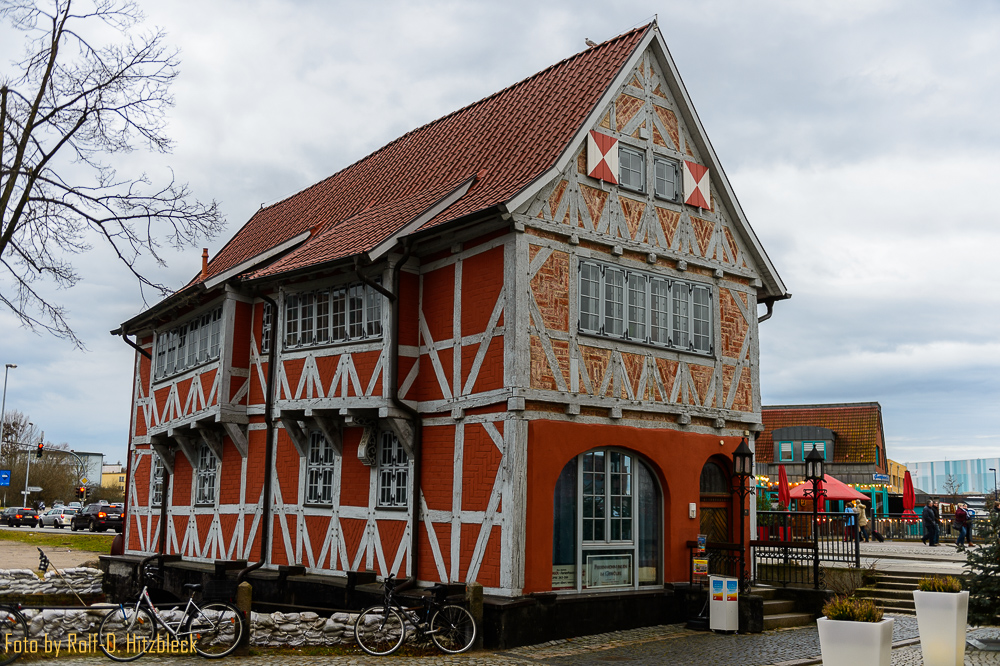 DSC7395.jpg