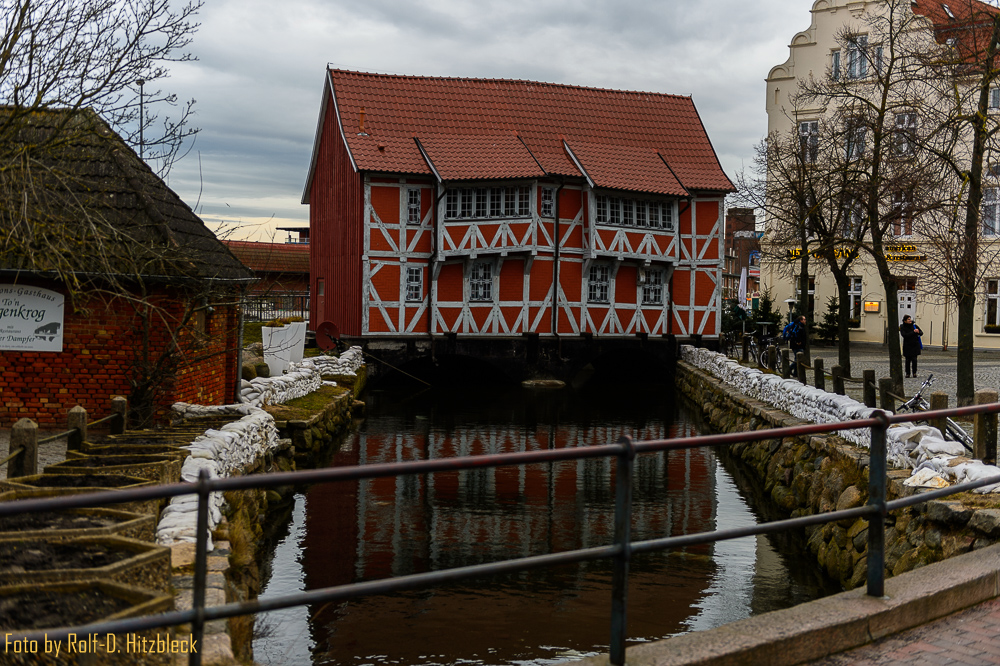DSC7397.jpg