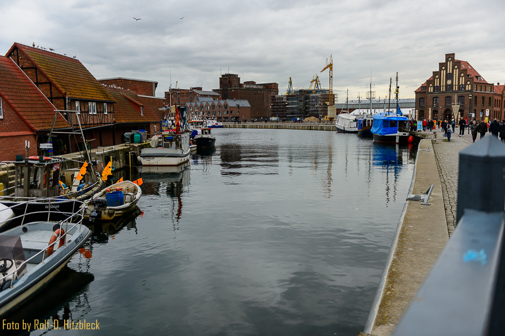 DSC7399.jpg