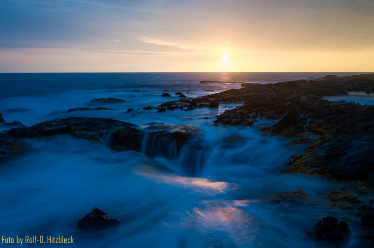 17.05.2016 – Schwimmen mit Delfinen – auf dem Coffee Belt