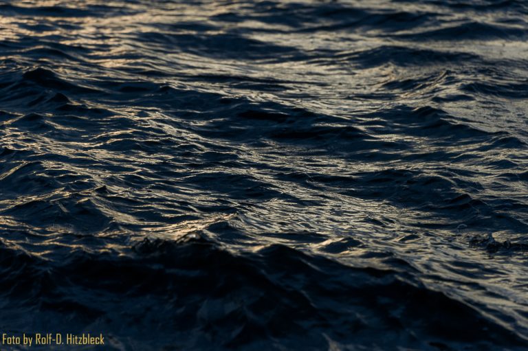 25.05.2016 – Kapa’a Beach – Mahukona Beach – Kaiholena – Spencer Beach – Mauna Kea Beach – Wailea Beach – Puako Road