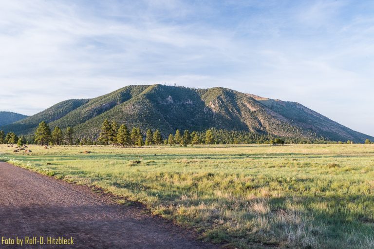 06.06.2017 – Cinder Cone OHV Area